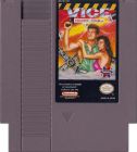 VICE PROJECT DOOM - NES