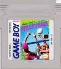 VOLLEYBALL GAMEBOY